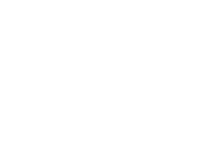 JELUSICK